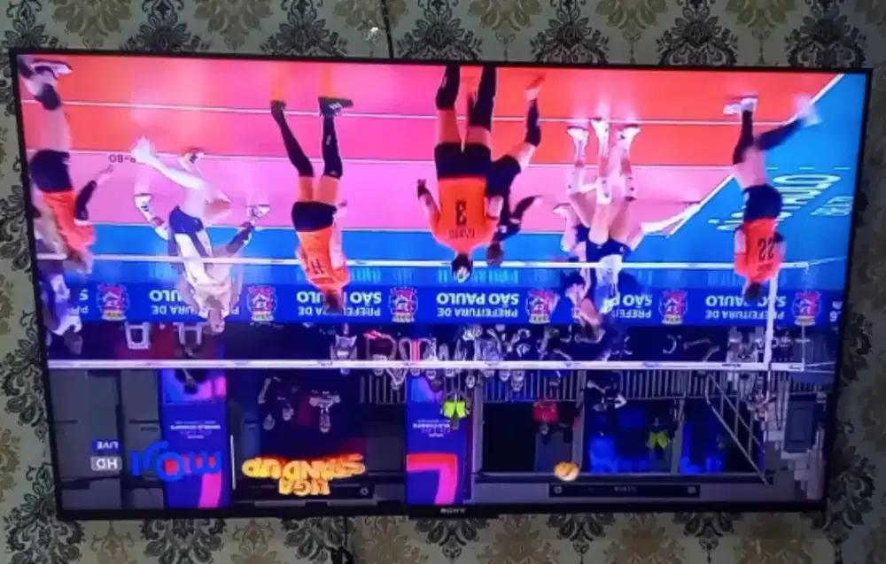 Panel layar tv Sony 55 inch