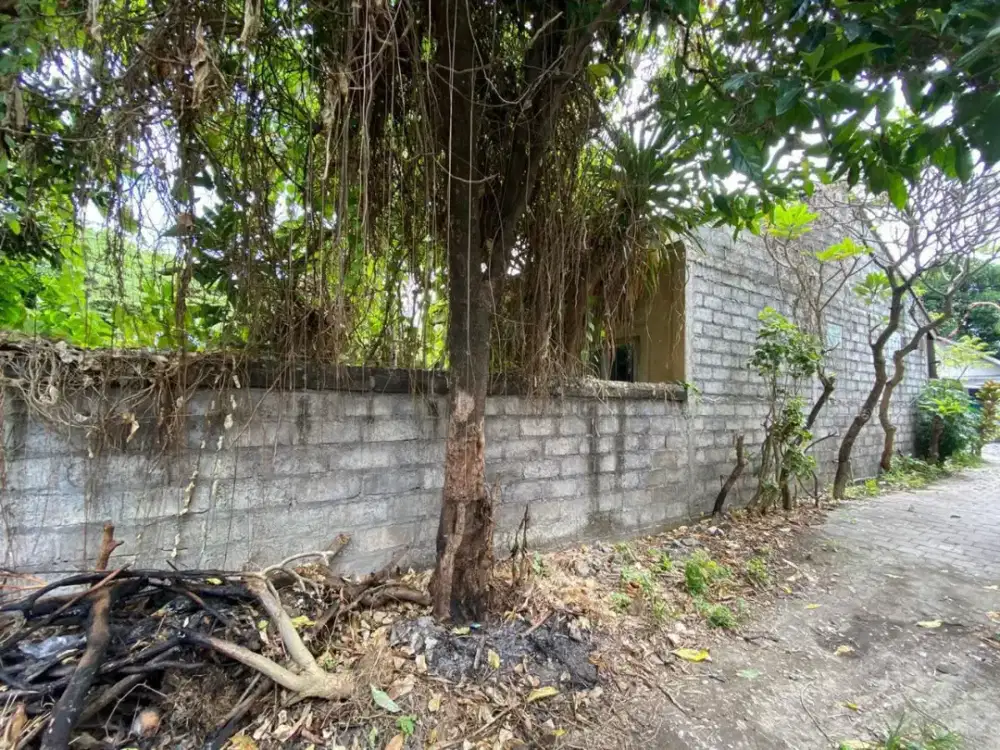 Di jual tanah jalan Sidakarya , DPS , Bali