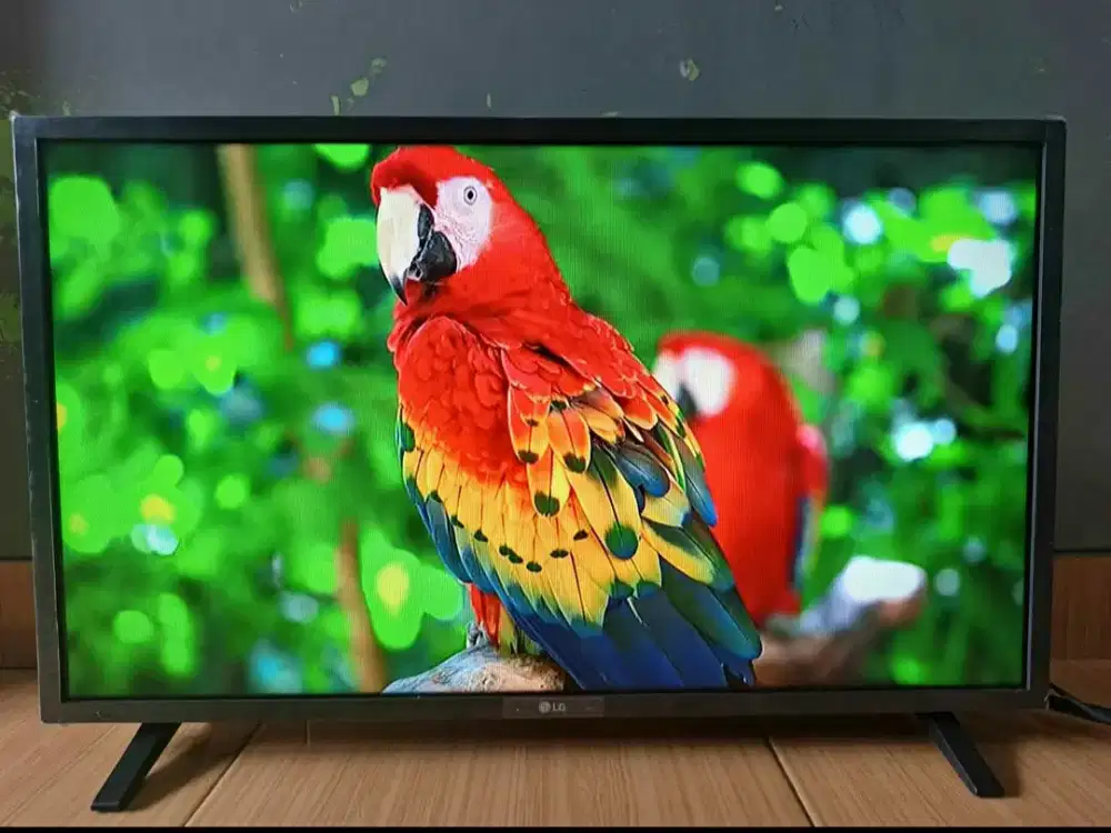 tv LG 32 inch msih bguss jernih