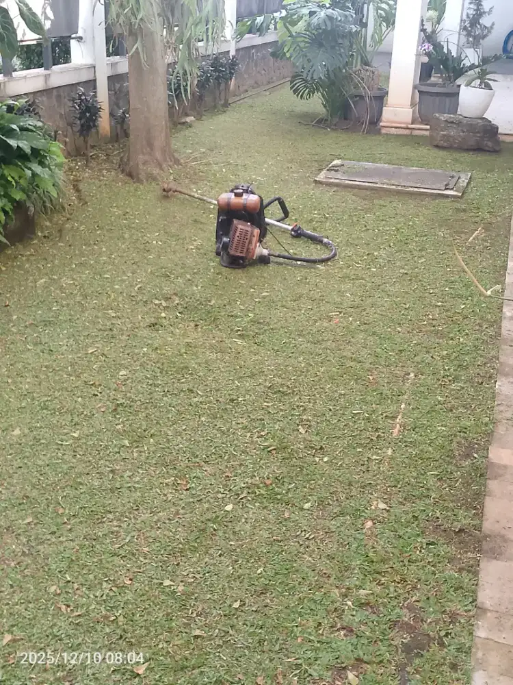 Jasa potong Rumput