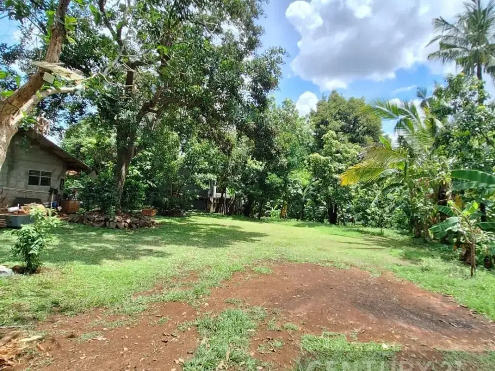 Kavling Luas Dan Murah Di Jagakarsa Jaksel. Cocok Untuk Cluster