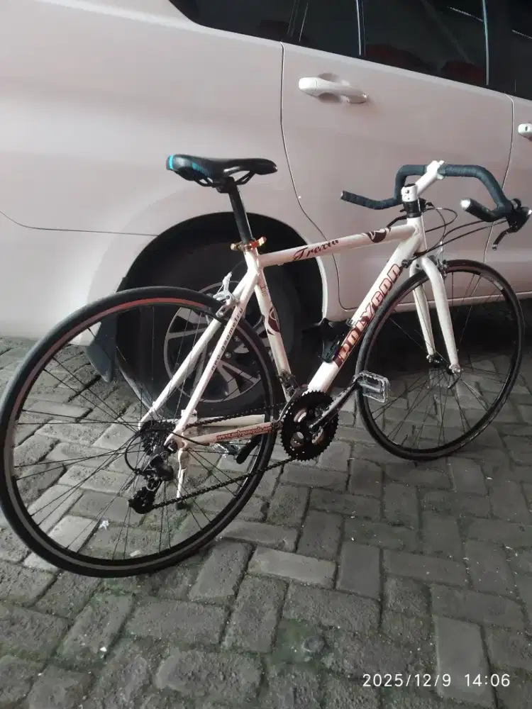 Polygon Hybrid Trexia 700c