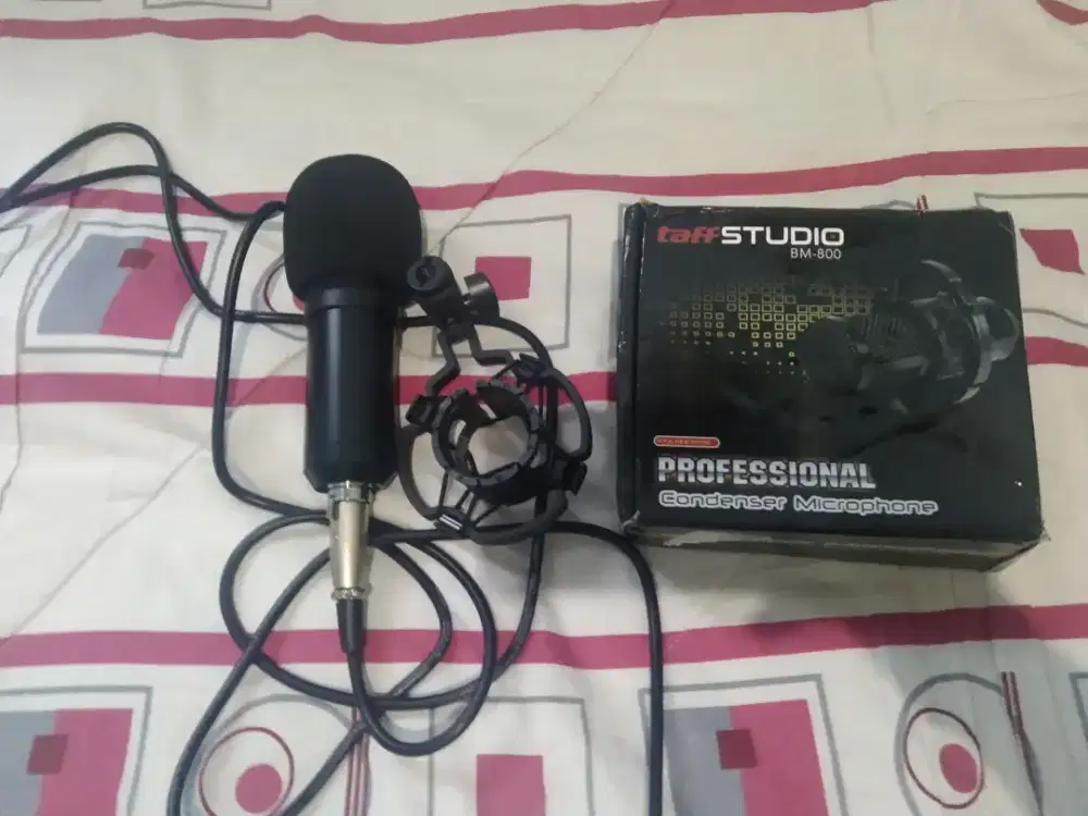 Mic Kondenser BM 800