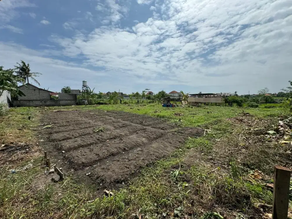 DIJUAL TANAH PREMIUM 14 ARE – VIEW SAWAH – JL BERINGIN, PADONAN, BADUNG, BALI ( JK / LM )