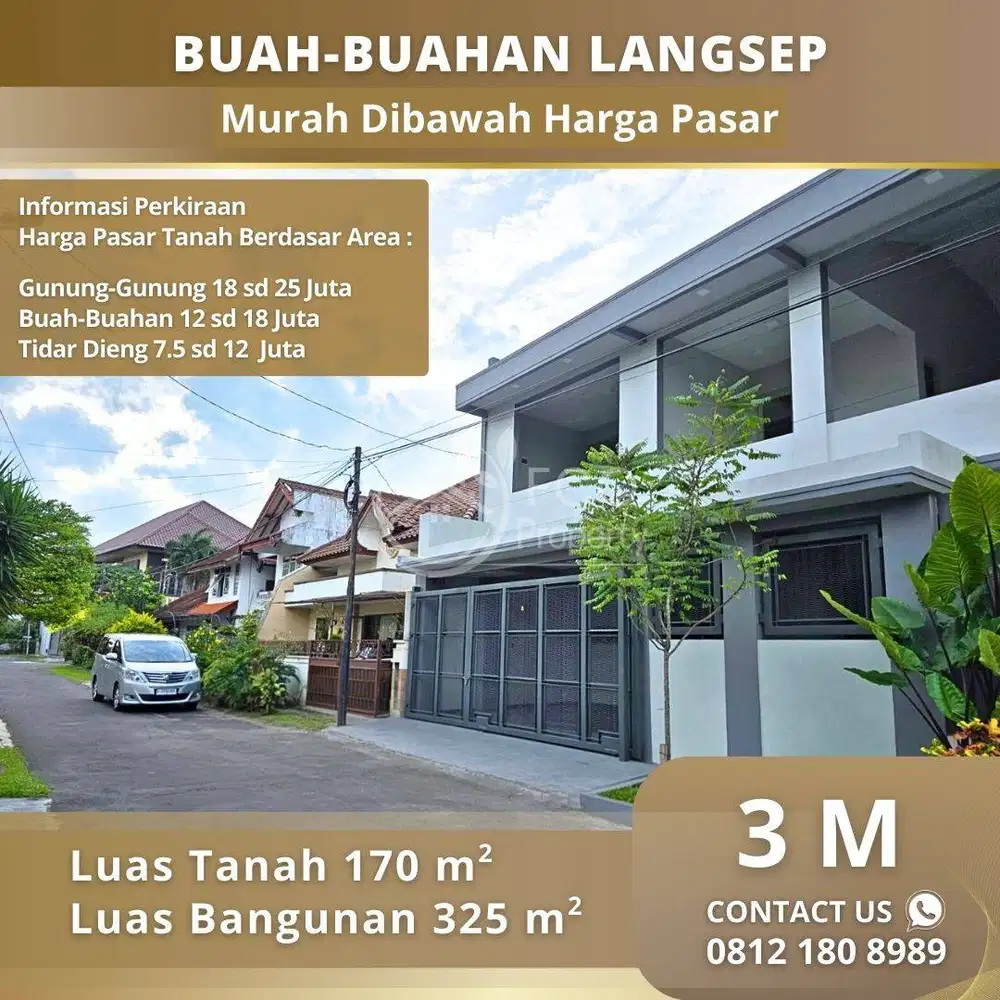 Rumah Baru Papaya 8 Buah Buah Area Buah Buahan Langsep Malang Kota