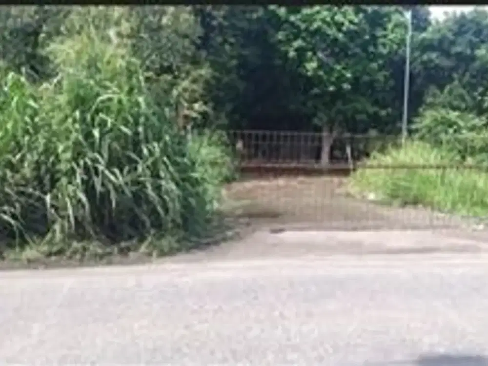 DIJUAL CEPAT TANAH USAHA DI PARUNG SERPONG LOKASI KOMERSIAL SUPER STRATEGIS COCOK UNTUK RUKO, KANTOR, GUDANG DLL