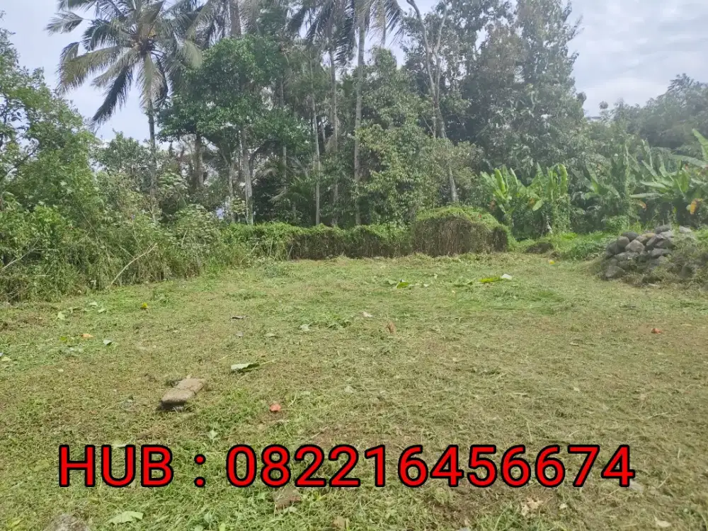 Jual tanah kavling murah di secang