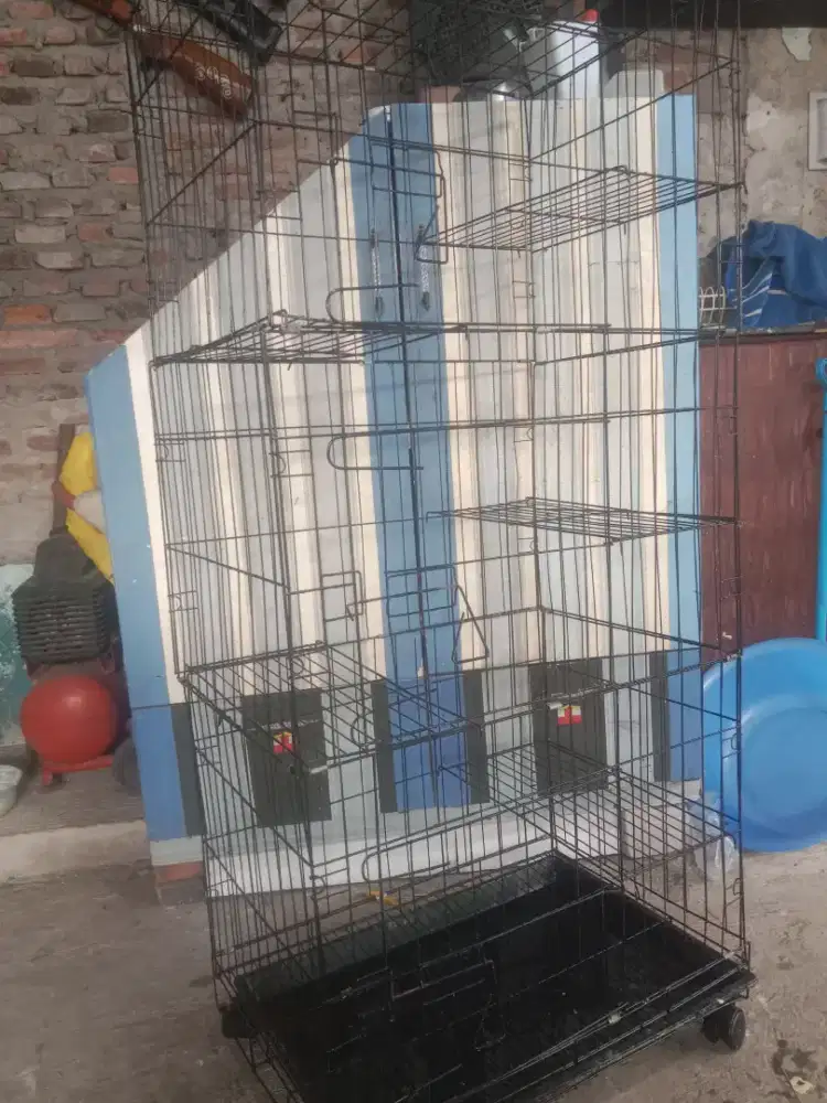 Kandang kucing tingkat lima