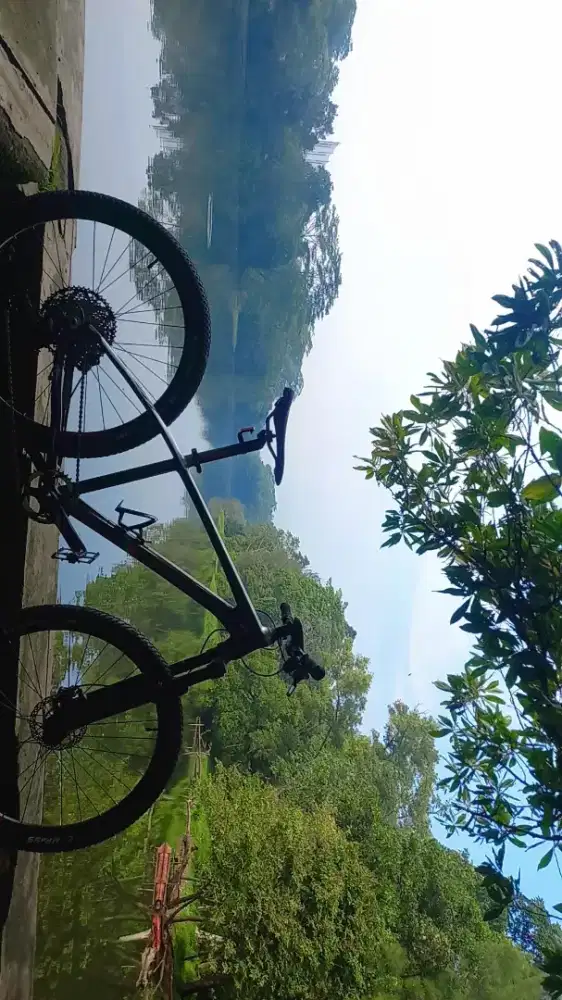 United avand reigat 27.5