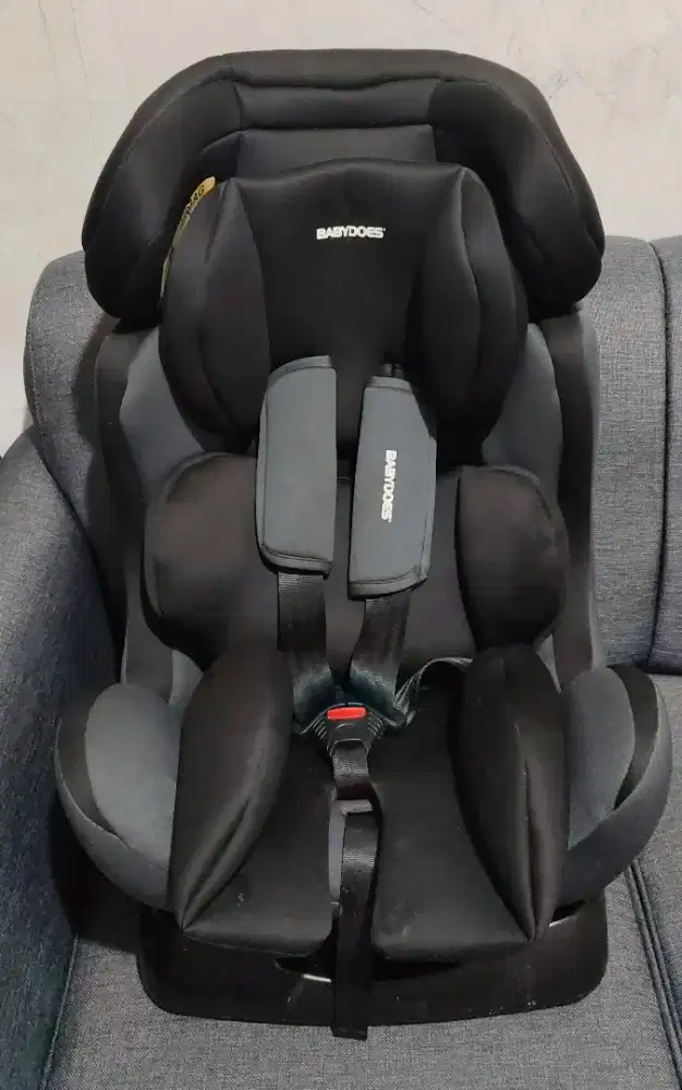 Baby Carseat Babydoes Driver