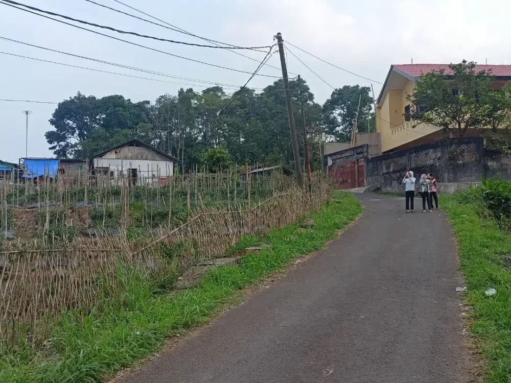 Kavling 6 Menit Jalan Raya Cijeruk Free SHM