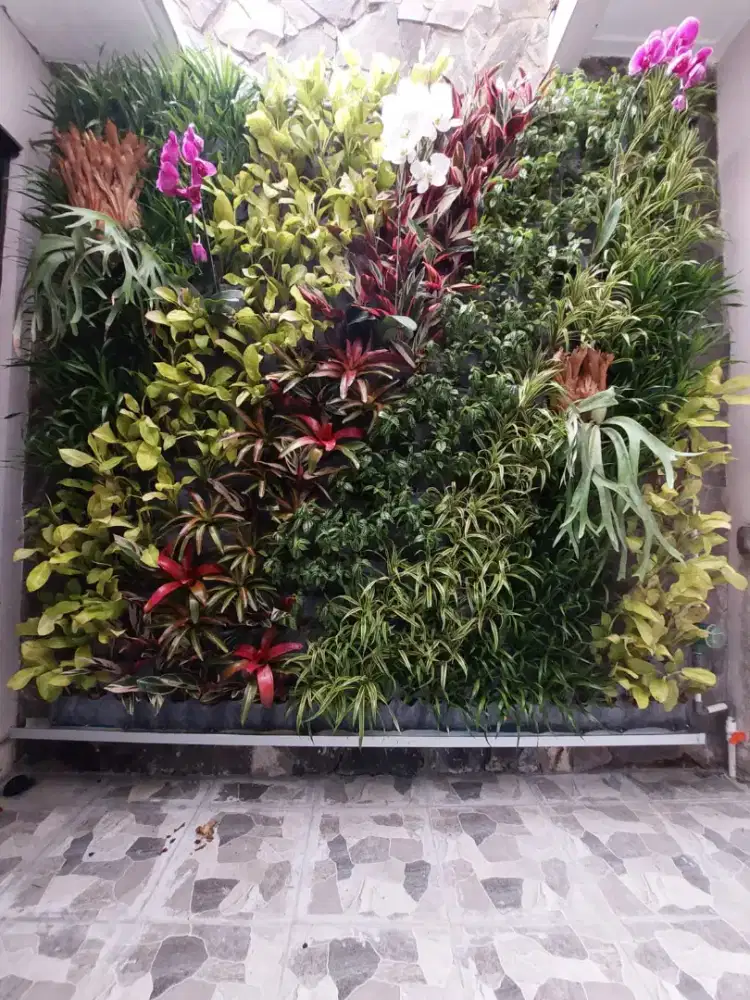 Menerima pembuatan taman vertical garden