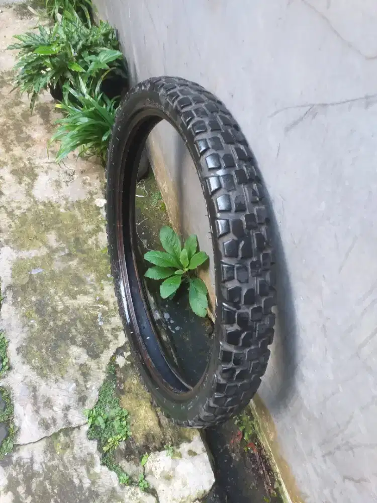 Ban Motor Road-Trail
Ring 19 IRC