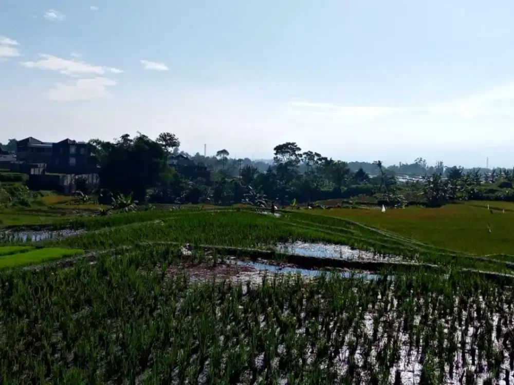 Dijual Tanah Luas Dijual ,Lokasi Strategis di Jl. Semarang Garut