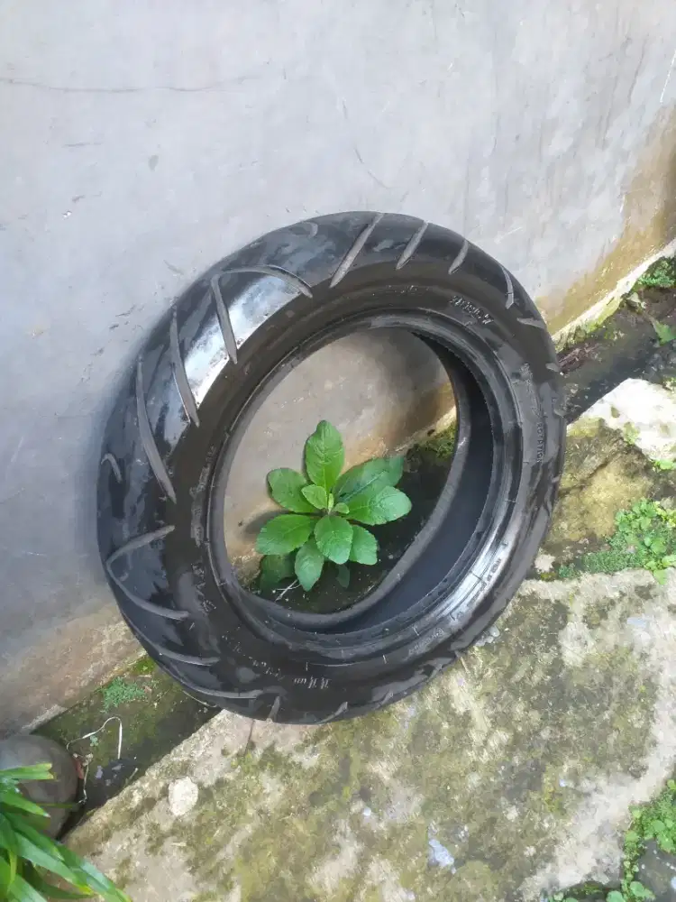 Murah Ban Matic Ring12 Scoopy Frego