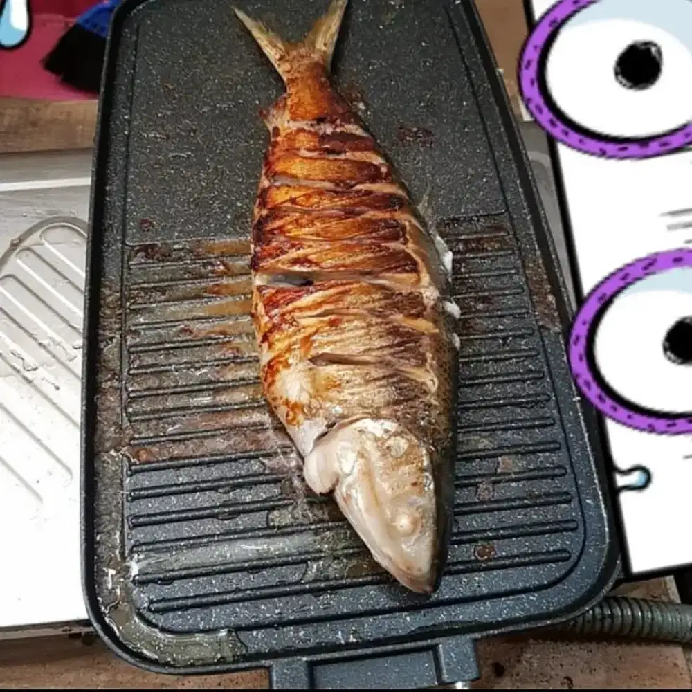 Panggangan pemanggang ikan teflon jumbo