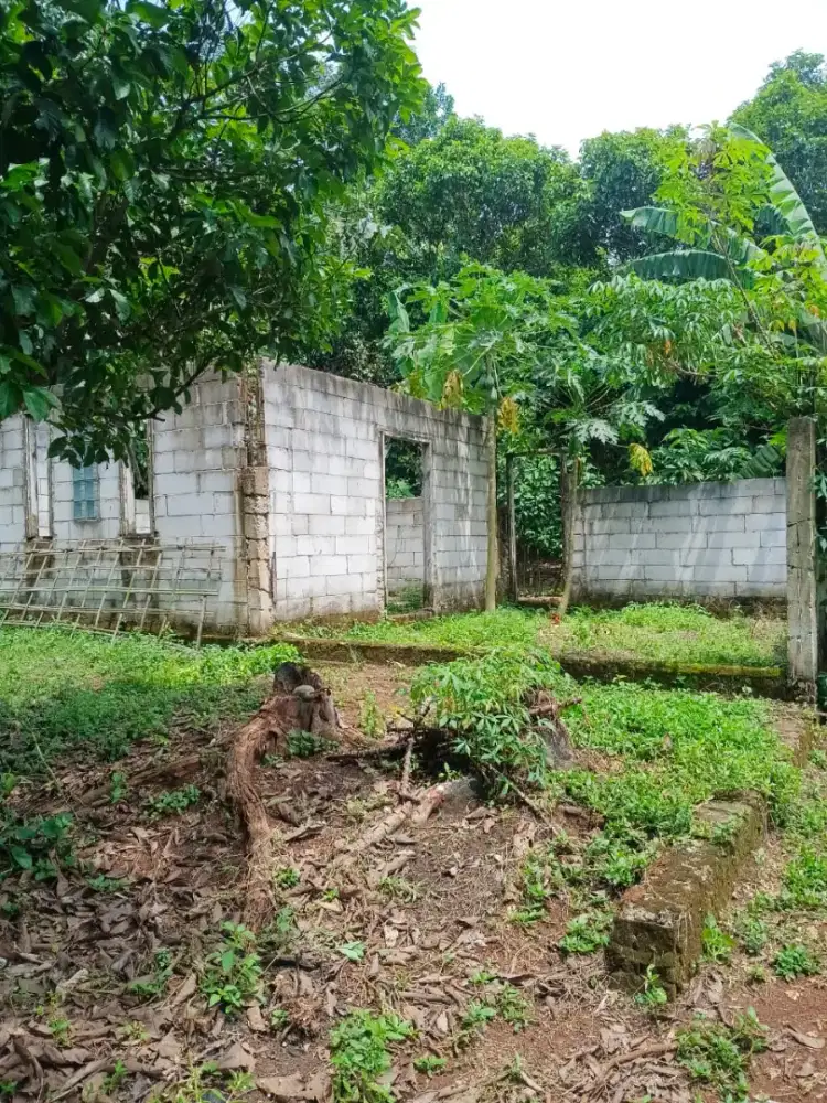 Dijual Tanah Kebun Datar Pinggir Jalan