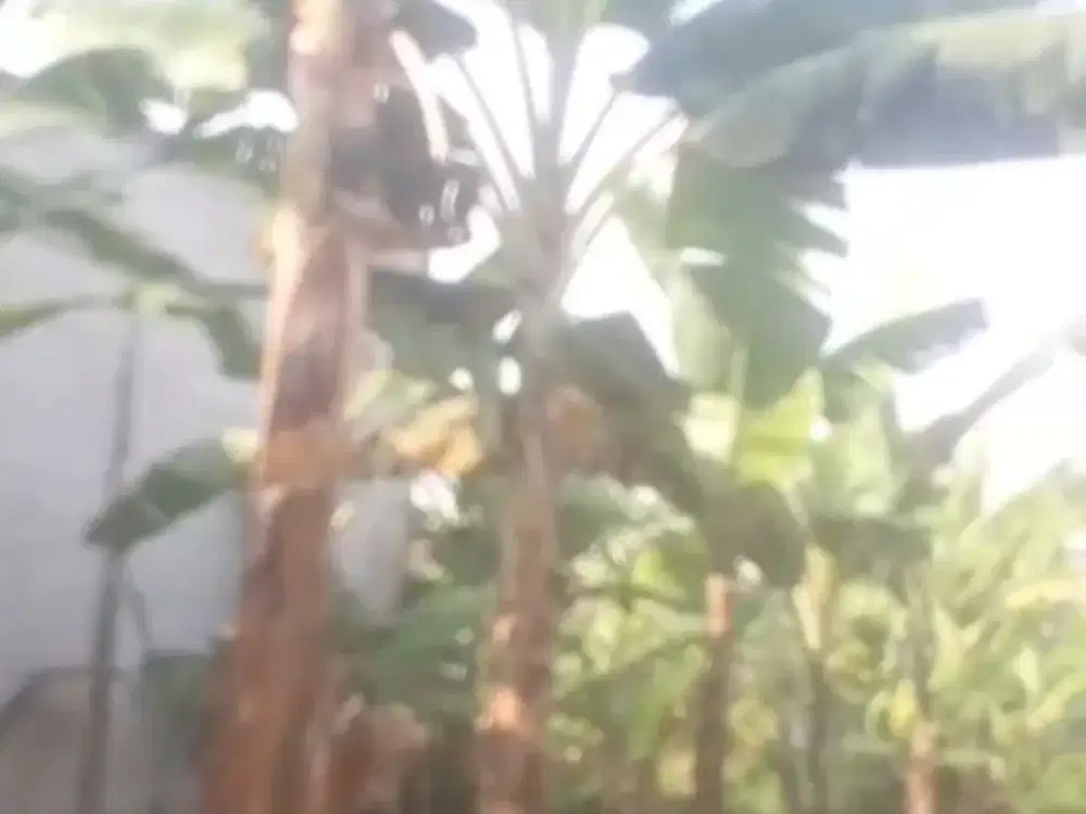 Tanah 45 m2 Akses Motor dekat Grand Depok City