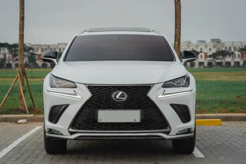 Lexus NX300 Fsport AT 2018 Good Condition