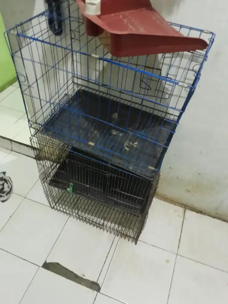 Di jual cepat kandang burung ,borongin