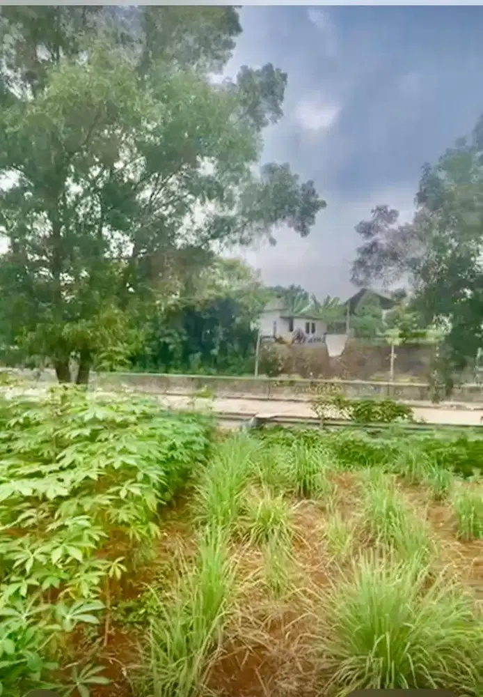 Dijual kavling di pinggir jalan raya akses tall cimanggis