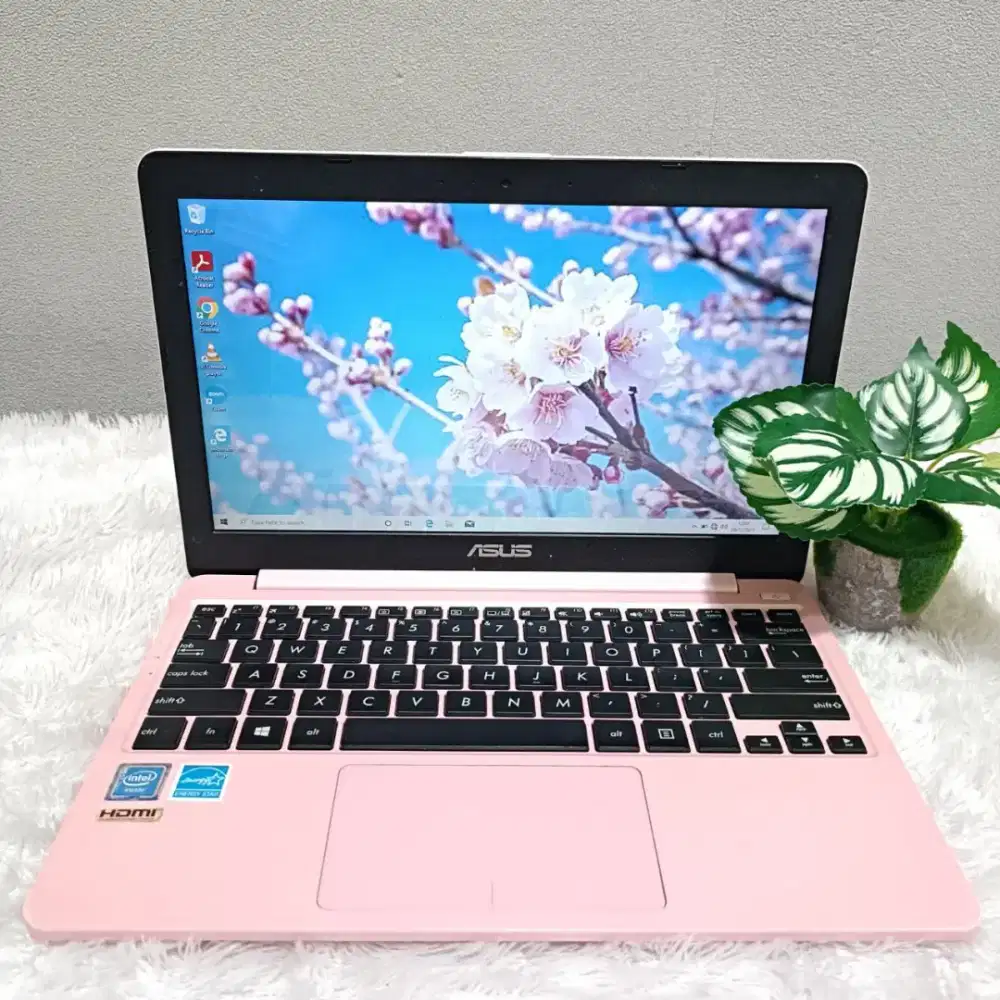 ASUS E203MA INTEL N4000 RAM 4GB SSD 128GB LAYAR 12.0 INCH PINK