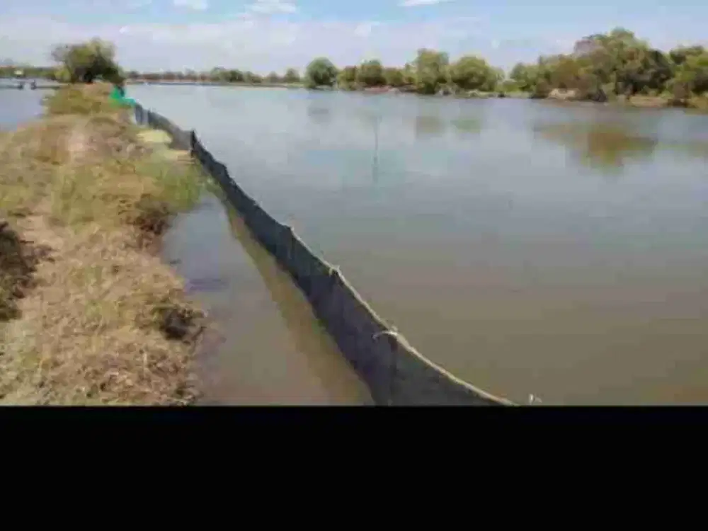 Jual Tambak Masih produktif Di bangunsari -Jabon - Sidoarjo  600 Meter ke jln raya