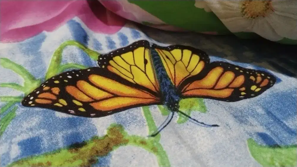 Mencari ART momong ank 4,5th dan serabutan