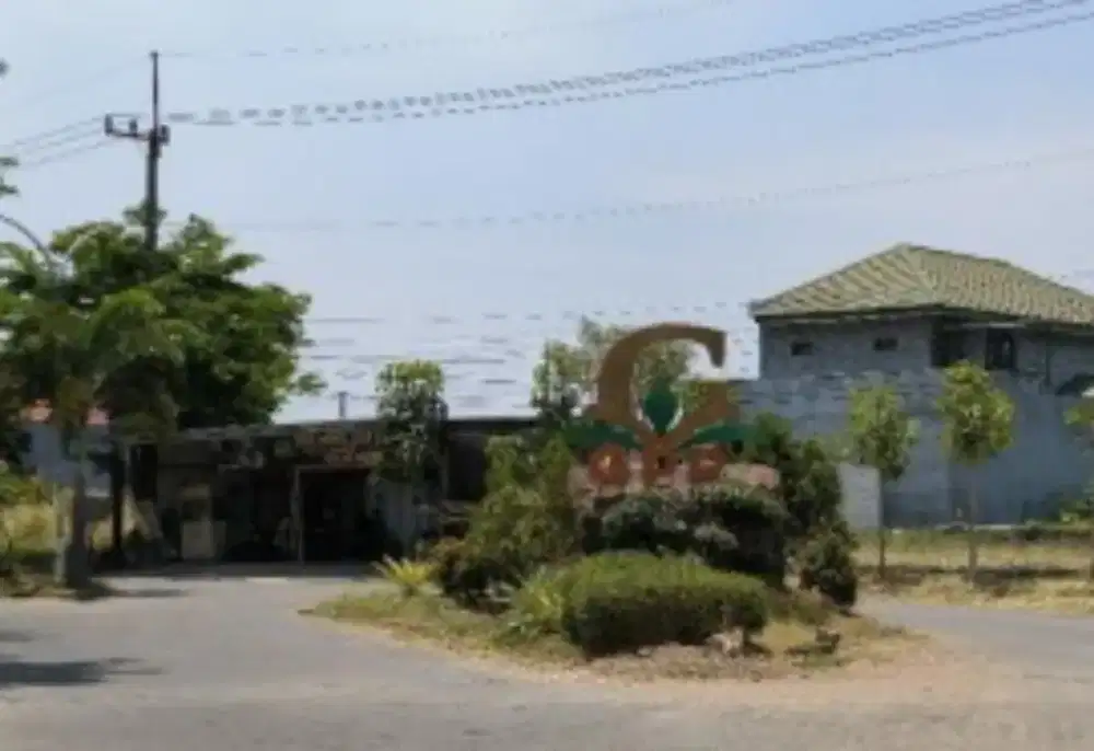 Rumah Bambu Driyorejo Gresik