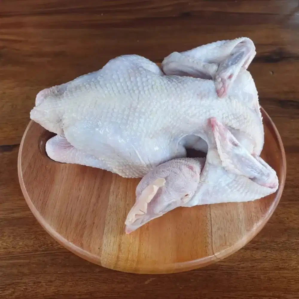 Karkas ayam jantan