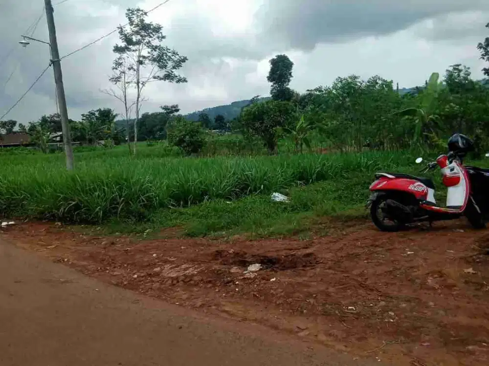 TANAH DATAR MURAH LOKASI SIDODADI LAWANG KABUPATEN MALANG