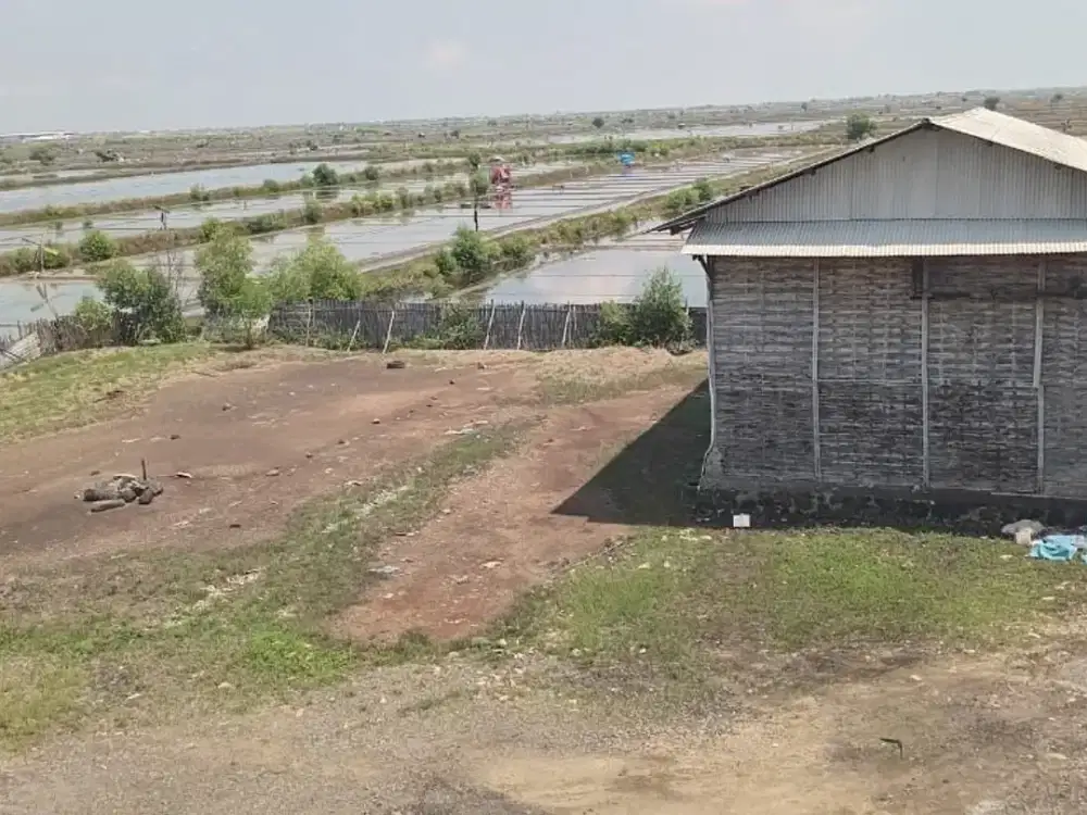 Pabrik 31.114m Losarang Indramayu