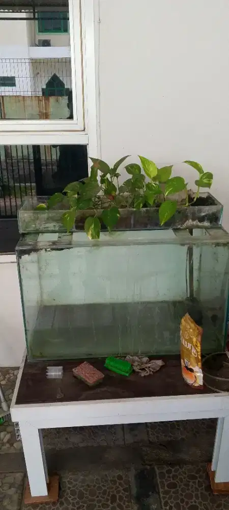 Dijual akurium  dan lemari rak sepatuh