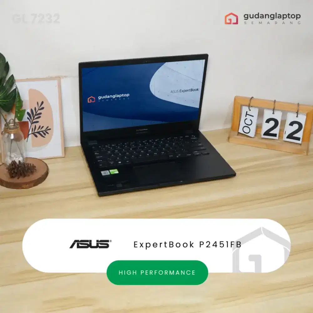 ASUS ExpertBook P2451FB Core i7 - 10510U 8GB/128GB/1TB Nvidia MX110