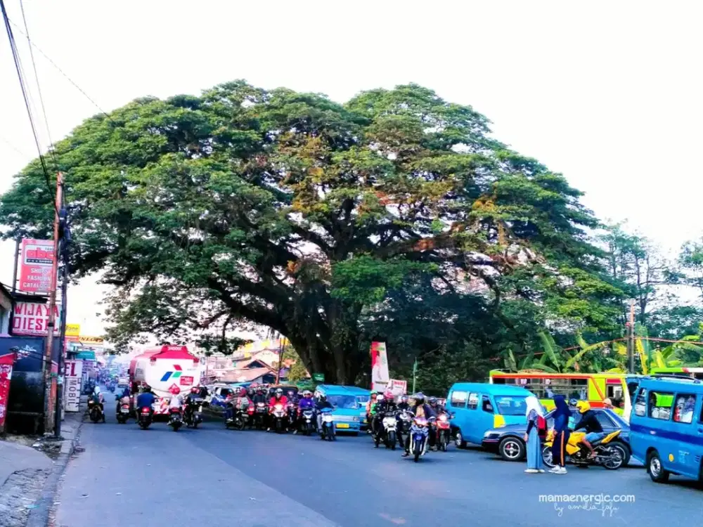 10 Menit Pasar Parung Rumah Siap Huni Cicilan Tanpa Bunga