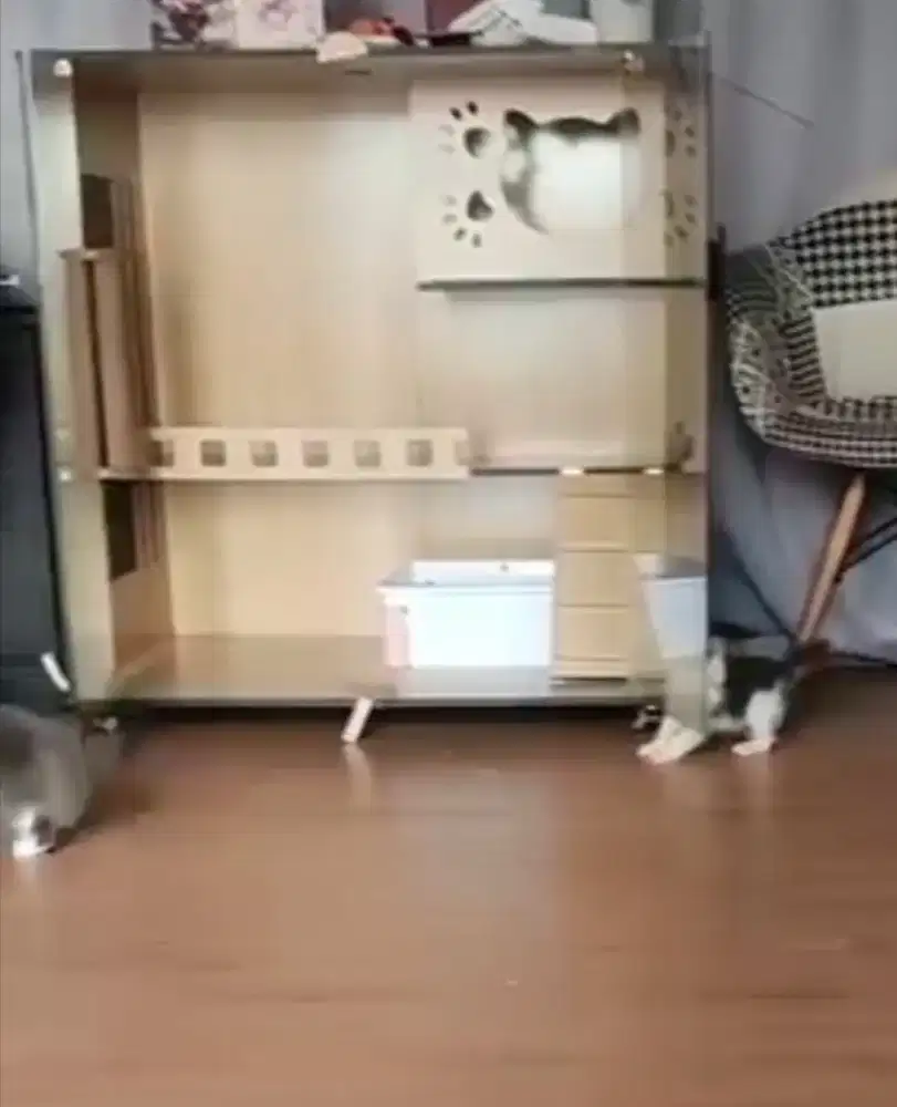 Kandang Kucing Estetik