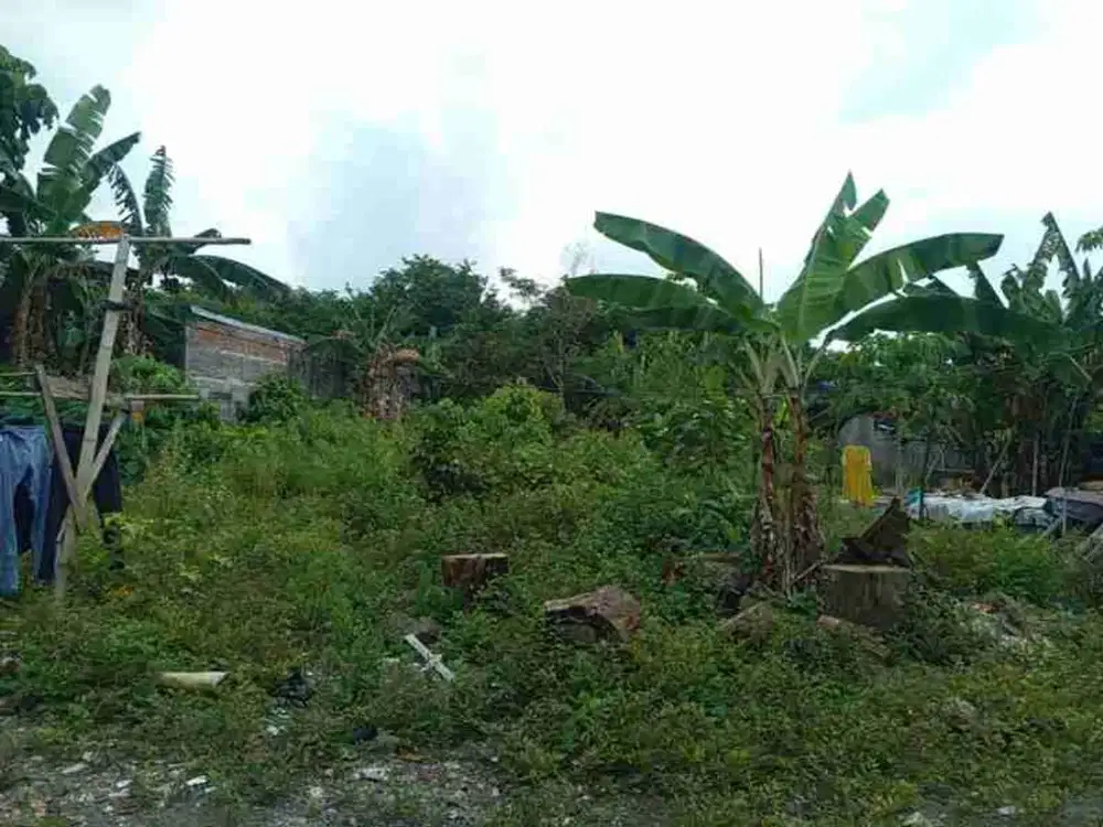 Dijual Tanah Luas 918 Meter Persegi Lokasi Strategis di Daerah Sukoharjo Ngaglik Sleman

Sleman, Daerah Istimewa Yogyakarta