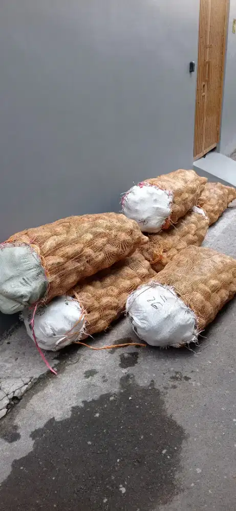 Ubi/Tela Manohara tawangmangu