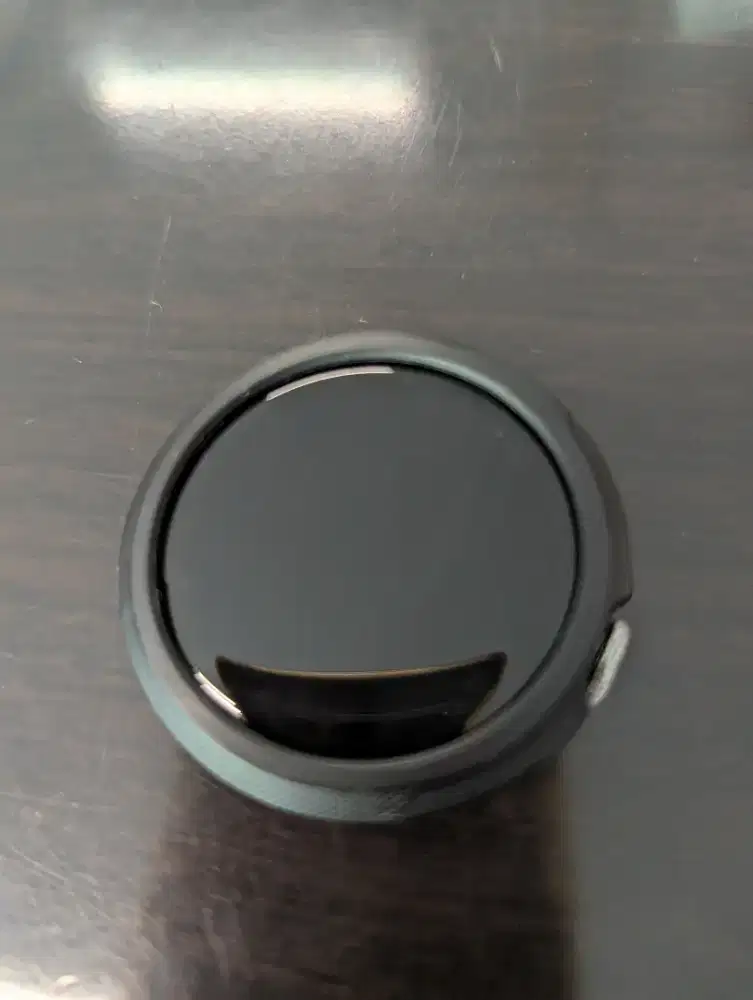 Google Pixel Watch 2