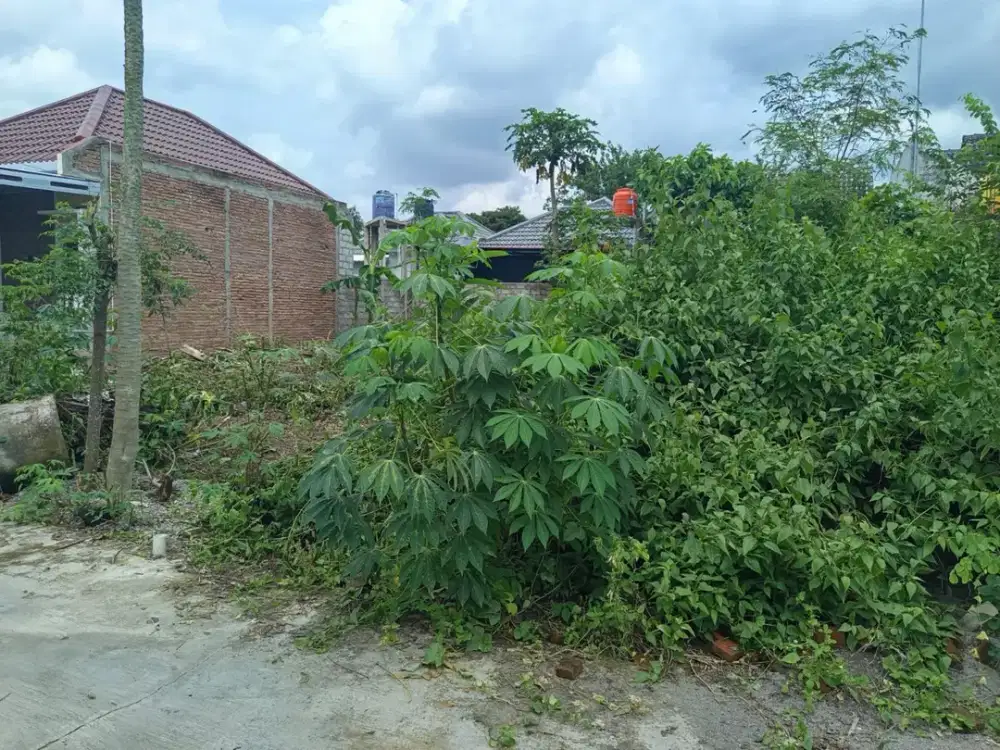 DIJUAL TANAH KAVLING MURAH 100 JUTAAN DEKAT RSUD PRAMBANAN