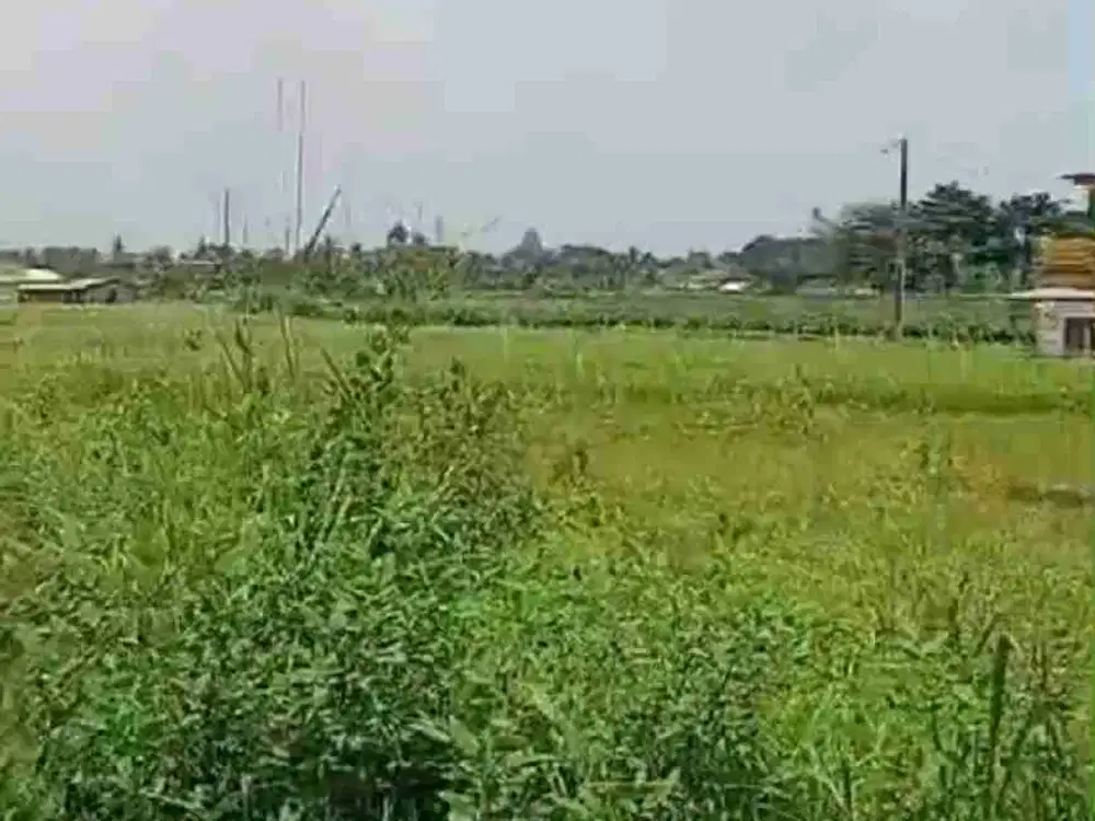 LAHAN LUAS UNTUK INVESTASI/KOSAN DEKAT KAMPUS IPB DRAMAGA BOGOR