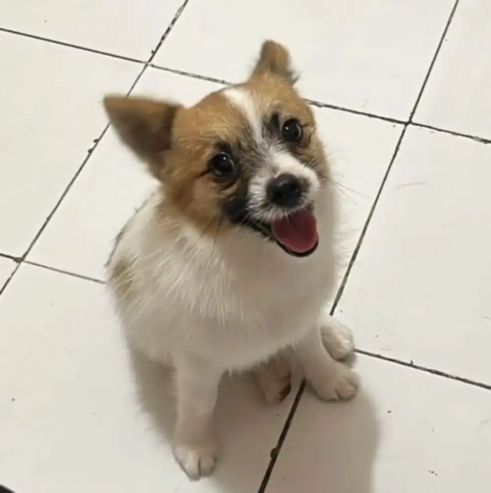 Cari pekerjaan sopir perusahaan