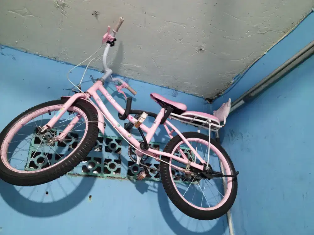 Sepeda anak perempuan