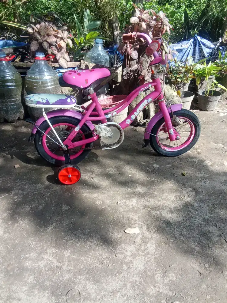 Sepeda anak Pacifik 12