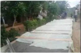 SEDIA PLASTIK COR HIJAU