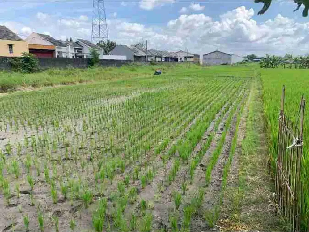 Dijual Lahan Zona Kuning Lokasi Strategis Kartasura, Sukoharjo Luas 2092m2