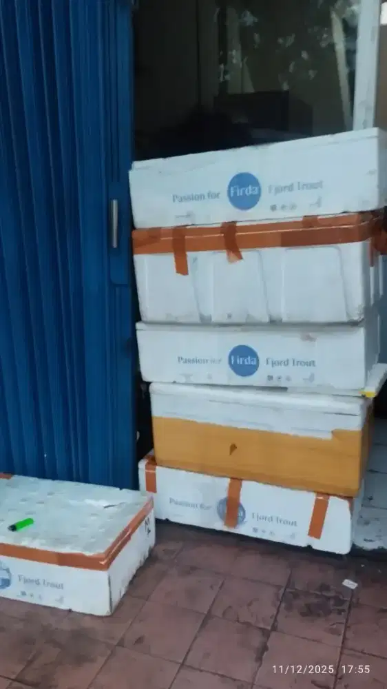 Box Sterofom ,gabus,