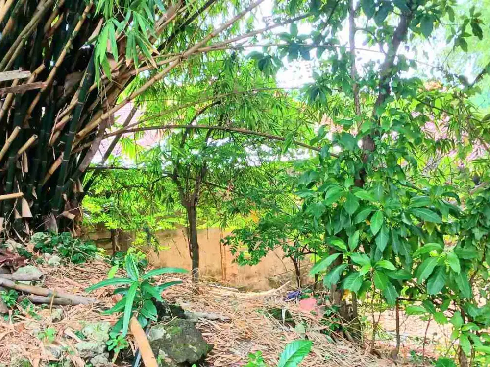 Dikontrakkan Tanah Pinggir Sungai Denpasar Timur Dkt By Pass Ngurah Rai Bali