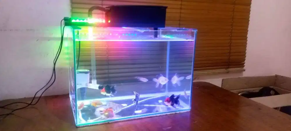 Aquarium 50x30x35 fulsett