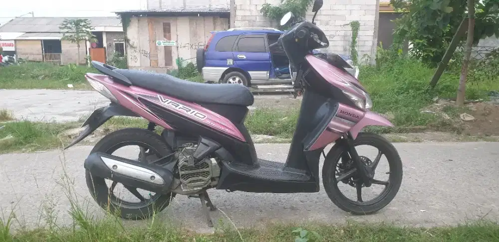 vario asli pink cat ori